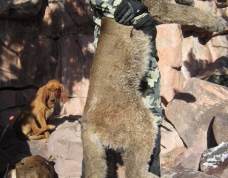 wta_676_9KA3DU_IMG_2064