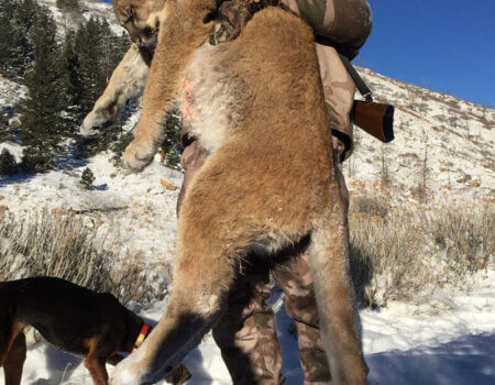 wta_676_B4DJ23_210_MTNLion(7)