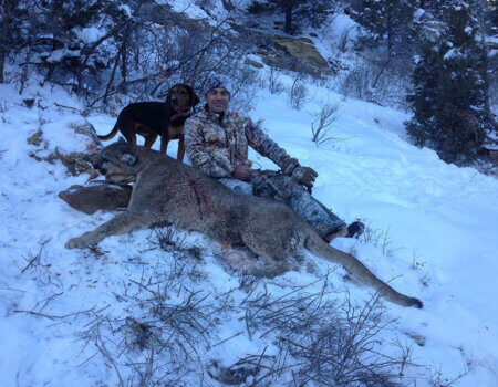 wta_676_HI5JCG_Cougar1