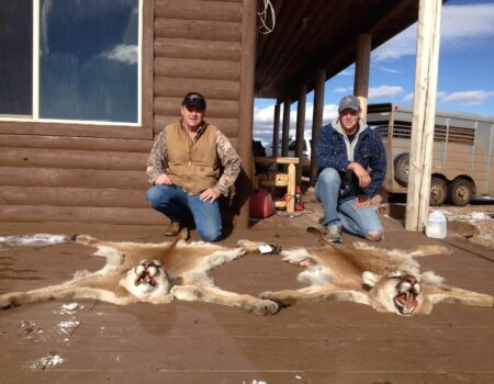 wta_676_IV89HR_Cougar4