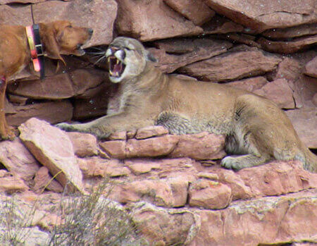 wta_676_JQFBCE_IMG_0294