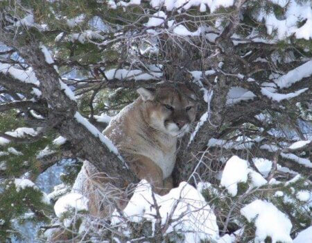 wta_676_K8U8V7_IMG_0192