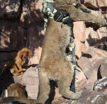 wta_676_KTD9OH_IMG_2064