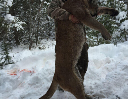 wta_676_M5HS9N_210_MTNLion(2)