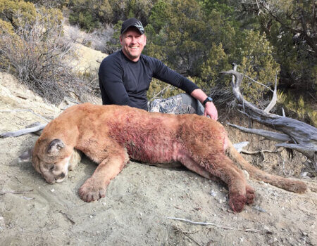 wta_676_NH0ED8_210_MTNLion(6)