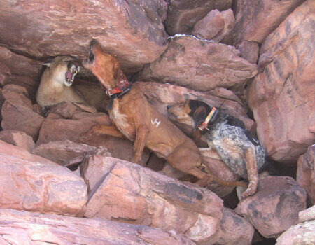 wta_676_VY28LZ_IMG_1636