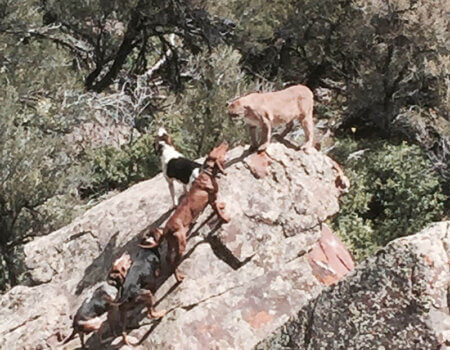 wta_676_ZBHY44_IMG_2087