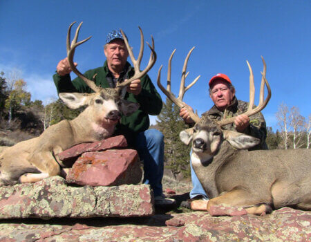 wta_678_2VYV8C_IMG_4454