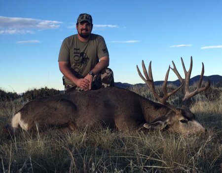 wta_678_ICE3D4_2016muledeer