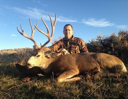 wta_678_M63QIL_Muledeer2016