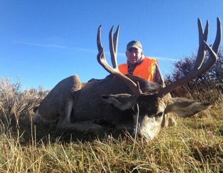 wta_678_P5PR8V_muledeer20163