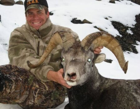 wta_688_2FEHNS_217_StoneSheep(5)