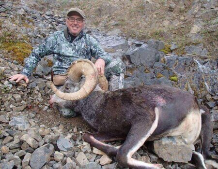 wta_688_CTJBD3_217_StoneSheep(4)