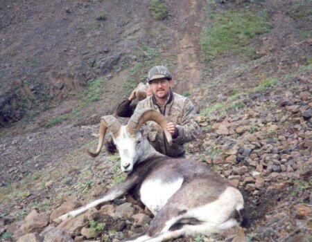 wta_688_FSIW08_217_StoneSheep(9)