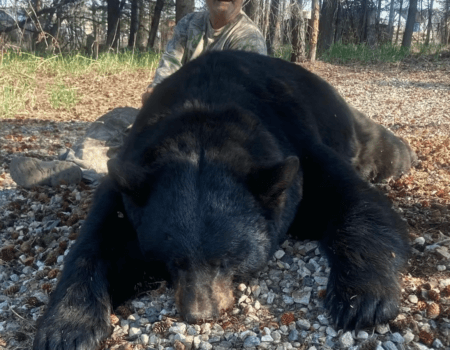 wta_692_Screenshot 2025-01-03 102020