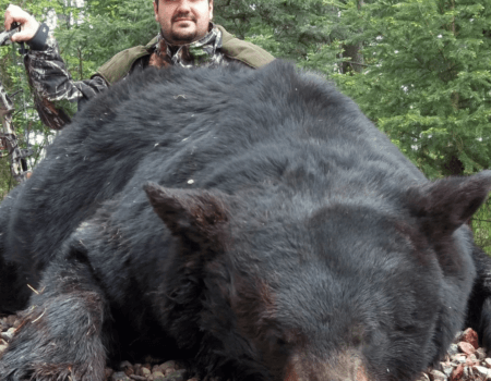 wta_692_Screenshot 2025-01-03 102126