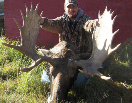 wta_694_VL12U2_221Moose(8)