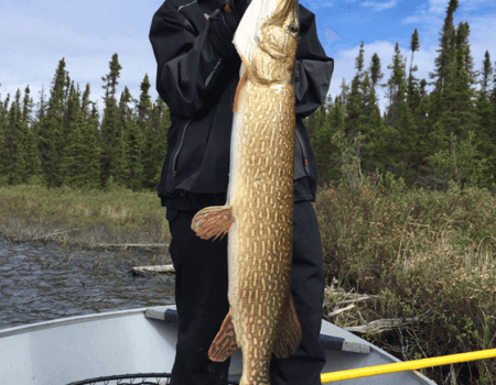 wta_695_89EE40_Pike3