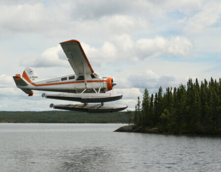 wta_695_Beaver Low Flying