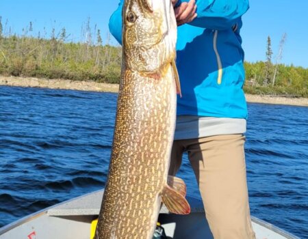 wta_695_IMG_6310 (1)