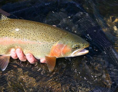 wta_696_F6E5NK_222_Fishing(4)