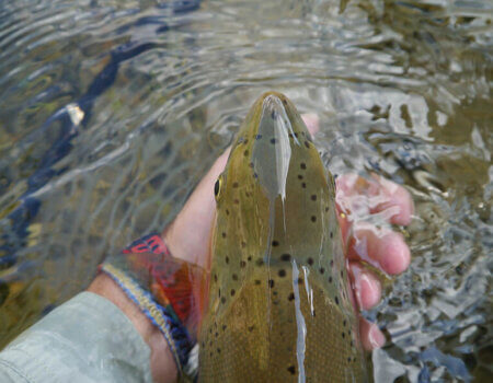 wta_696_JQH1SH_222_Fishing(3)