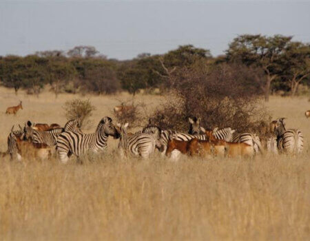 wta_699_37WRPN_30March201010(6)