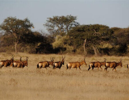 wta_699_71OEFP_30March201051