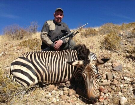 wta_699_DCPBGX_ZebraChipNewell