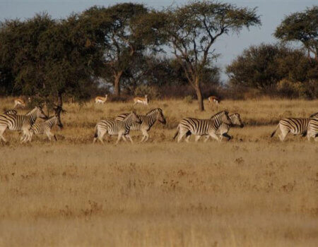 wta_699_EIU1AJ_30March201052