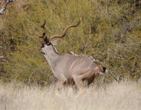 wta_699_K056KC_30March201059(1)