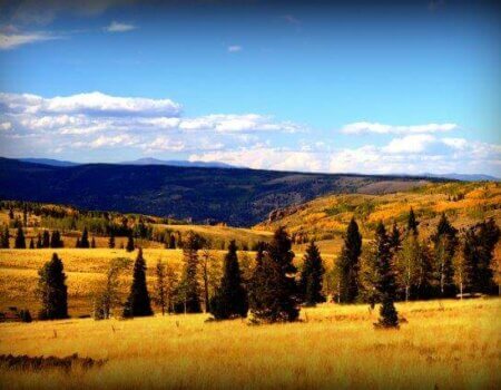 wta_69_3T1DSN_Kiowa3