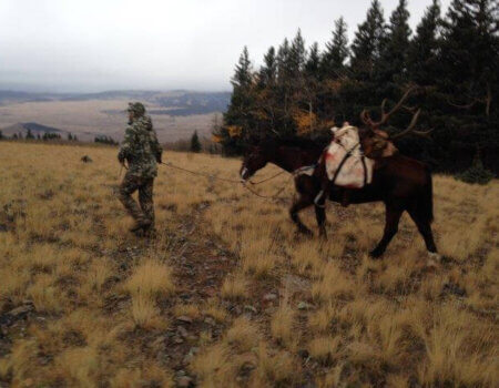 wta_69_EP85TP_IMG_1814