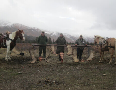 wta_702_VLAJ2Q_079_Moose(33)