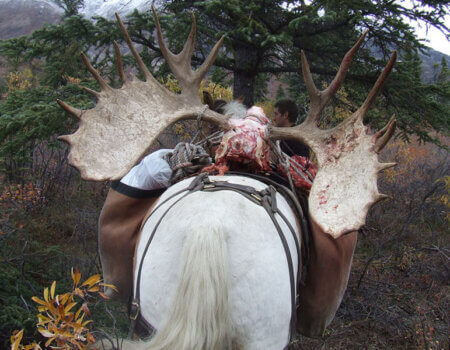 wta_702_X5WHBJ_079_Moose(6)