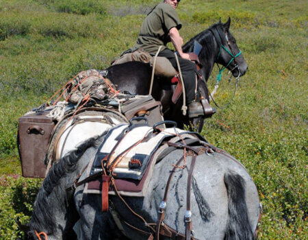 wta_703_6V40A5_DSC_0278