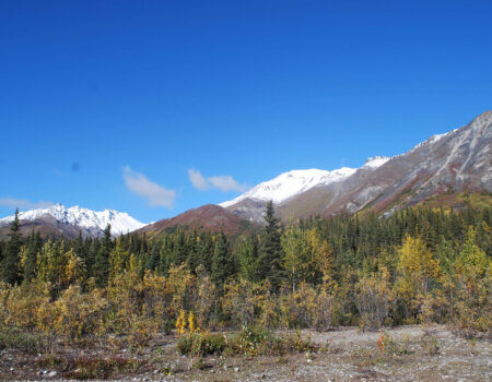 wta_703_VMGQWH_IMG_0111