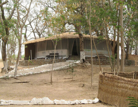 wta_706_137TMV_Cameroon2008030