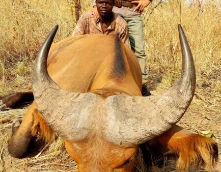 wta_706_582b459b-5eba-4370-9593-f22f61721a94