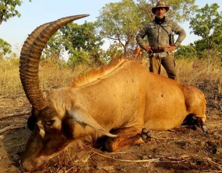 wta_706_5b748183-dd22-4e25-9bcf-2490b9d22cbb