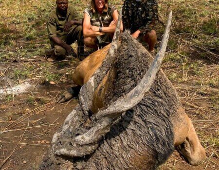 wta_706_7484e9ce-c8da-4303-92dd-44a8898d70ee