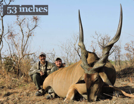 wta_706_HPC5DL_225-eland