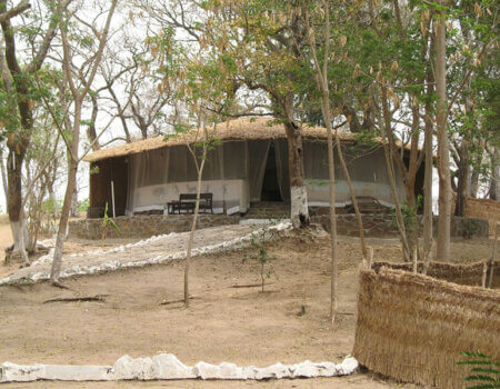 wta_706_MYAPOX_225_Cameroon(14)