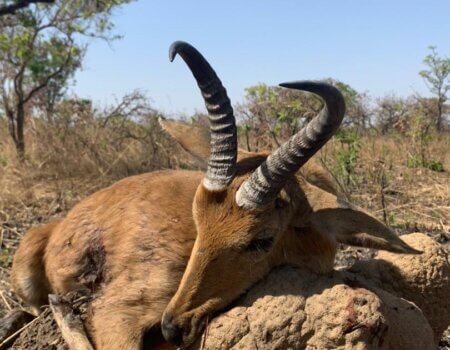 wta_706_d5d8ac0f-12f6-42fb-8772-145671c400f4