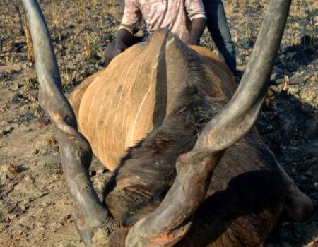 wta_706_d8ade82f-5b36-4312-b3e4-a14d1d547bd3