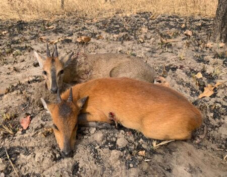 wta_706_e77412f3-ebfc-4513-8487-0f6aa1f57cab