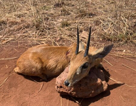 wta_706_eaf657fb-7815-477f-9ede-cc5621baf018