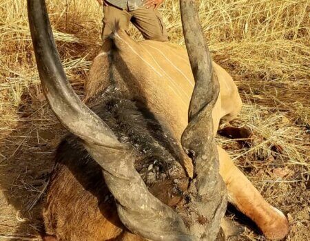 wta_706_fcc86710-9eda-4449-a882-1192b48c27fc