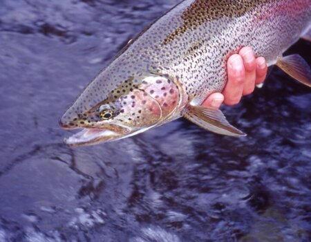 wta_708_N3K7JW_228_Fishing(37)