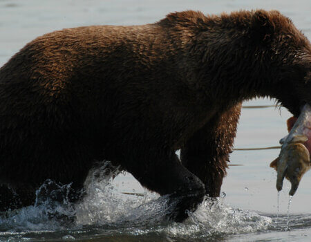 wta_708_N40TEZ_228_Fishing(32)